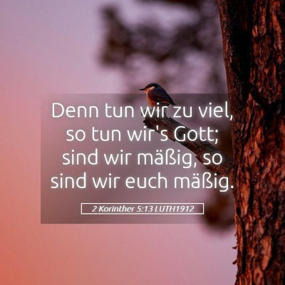 Picture 05 - 2 Korinther 5:13 LUTH1912 - Denn tun wir zu viel, so tun wir's Gott; sind wir - Bible Verse Picture