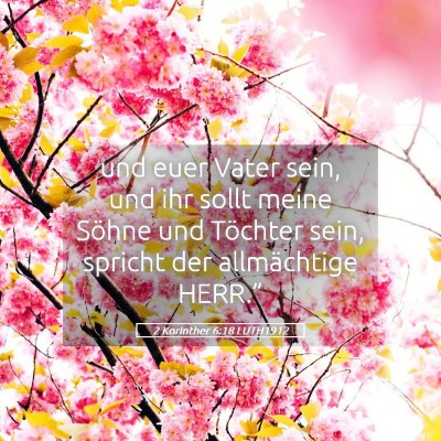 Picture 05 - 2 Korinther 6:18 LUTH1912 - und euer Vater sein, und ihr sollt meine Söhne - Bible Verse Picture