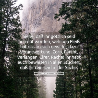 Picture 05 - 2 Korinther 7:11 LUTH1912 - Siehe, daß ihr göttlich seid betrübt worden, - Bible Verse Picture
