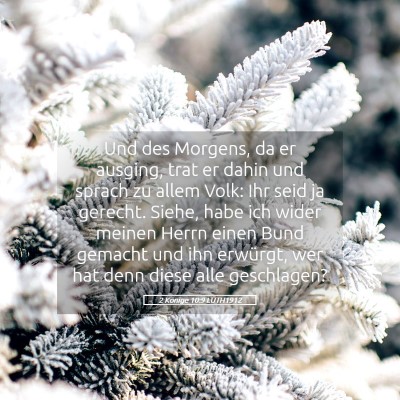 Picture 05 - 2 Könige 10:9 LUTH1912 - Und des Morgens, da er ausging, trat er dahin und - Bible Verse Picture