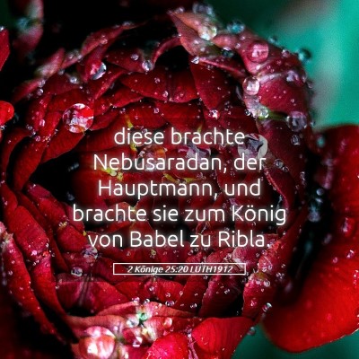 Picture 05 - 2 Könige 25:20 LUTH1912 - diese brachte Nebusaradan, der Hauptmann, und - Bible Verse Picture