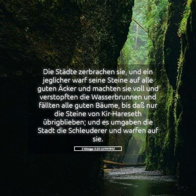 Picture 05 - 2 Könige 3:25 LUTH1912 - Die Städte zerbrachen sie, und ein jeglicher - Bible Verse Picture