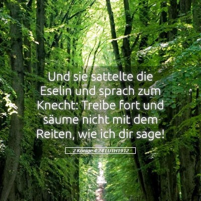 Picture 05 - 2 Könige 4:24 LUTH1912 - Und sie sattelte die Eselin und sprach zum - Bible Verse Picture