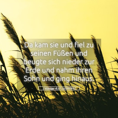 Picture 05 - 2 Könige 4:37 LUTH1912 - Da kam sie und fiel zu seinen Füßen und beugte - Bible Verse Picture