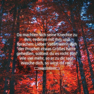 Picture 05 - 2 Könige 5:13 LUTH1912 - Da machten sich seine Knechte zu ihm, redeten mit - Bible Verse Picture