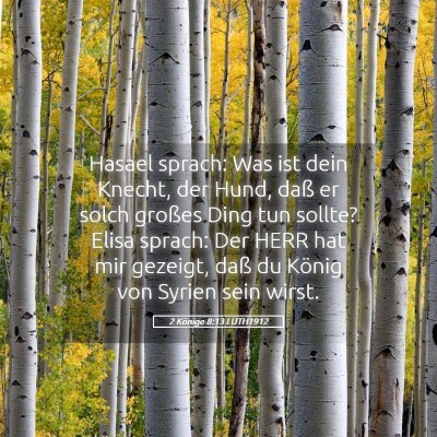 Picture 05 - 2 Könige 8:13 LUTH1912 - Hasael sprach: Was ist dein Knecht, der Hund, - Bible Verse Picture