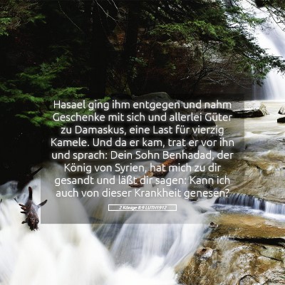 Picture 05 - 2 Könige 8:9 LUTH1912 - Hasael ging ihm entgegen und nahm Geschenke mit - Bible Verse Picture