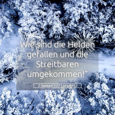 Picture 05 - 2 Samuel 1:27 LUTH1912 - Wie sind die Helden gefallen und die Streitbaren - Bible Verse Picture