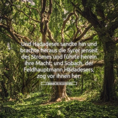 Picture 05 - 2 Samuel 10:16 LUTH1912 - Und Hadadeser sandte hin und brachte heraus die - Bible Verse Picture