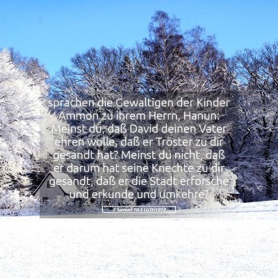 Picture 05 - 2 Samuel 10:3 LUTH1912 - sprachen die Gewaltigen der Kinder Ammon zu ihrem - Bible Verse Picture