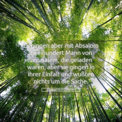 Picture 05 - 2 Samuel 15:11 LUTH1912 - Es gingen aber mit Absalom zweihundert Mann von - Bible Verse Picture