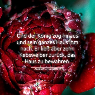 Picture 05 - 2 Samuel 15:16 LUTH1912 - Und der König zog hinaus und sein ganzes Haus - Bible Verse Picture