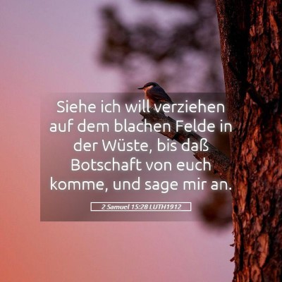 Picture 05 - 2 Samuel 15:28 LUTH1912 - Siehe ich will verziehen auf dem blachen Felde in - Bible Verse Picture