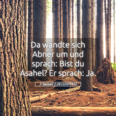 Picture 05 - 2 Samuel 2:20 LUTH1912 - Da wandte sich Abner um und sprach: Bist du - Bible Verse Picture