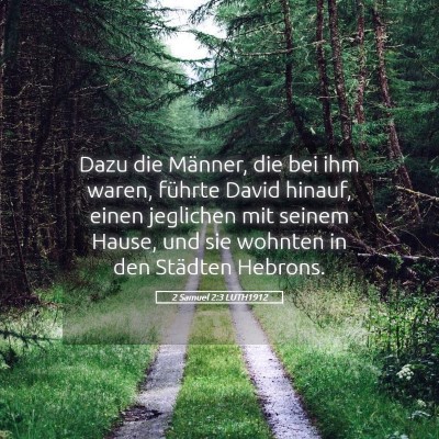 Picture 05 - 2 Samuel 2:3 LUTH1912 - Dazu die Männer, die bei ihm waren, führte - Bible Verse Picture