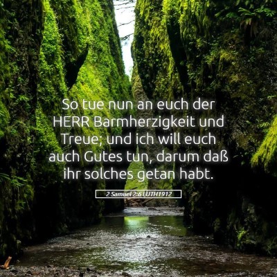 Picture 05 - 2 Samuel 2:6 LUTH1912 - So tue nun an euch der HERR Barmherzigkeit und - Bible Verse Picture