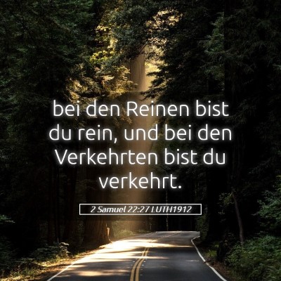 Picture 05 - 2 Samuel 22:27 LUTH1912 - bei den Reinen bist du rein, und bei den - Bible Verse Picture