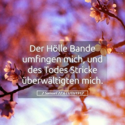Picture 05 - 2 Samuel 22:6 LUTH1912 - Der Hölle Bande umfingen mich, und des Todes - Bible Verse Picture