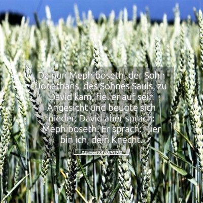 Picture 05 - 2 Samuel 9:6 LUTH1912 - Da nun Mephiboseth, der Sohn Jonathans, des - Bible Verse Picture