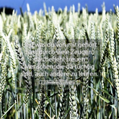 Picture 05 - 2 Timotheus 2:2 LUTH1912 - Und was du von mir gehört hast durch viele - Bible Verse Picture
