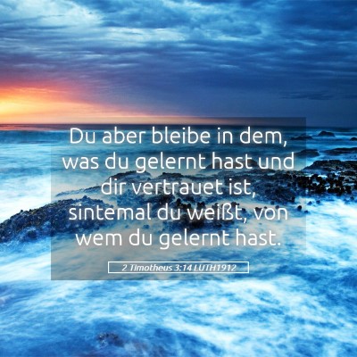 Picture 05 - 2 Timotheus 3:14 LUTH1912 - Du aber bleibe in dem, was du gelernt hast und - Bible Verse Picture