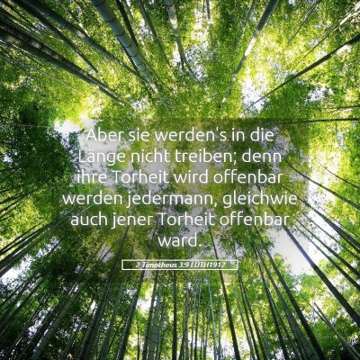 Picture 05 - 2 Timotheus 3:9 LUTH1912 - Aber sie werden's in die Länge nicht treiben; - Bible Verse Picture