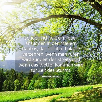 Picture 05 - Amos 1:14 LUTH1912 - sondern ich will ein Feuer anzünden in den - Bible Verse Picture