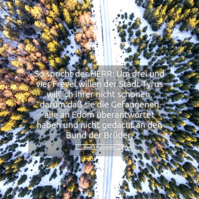 Picture 05 - Amos 1:9 LUTH1912 - So spricht der HERR: Um drei und vier Frevel - Bible Verse Picture