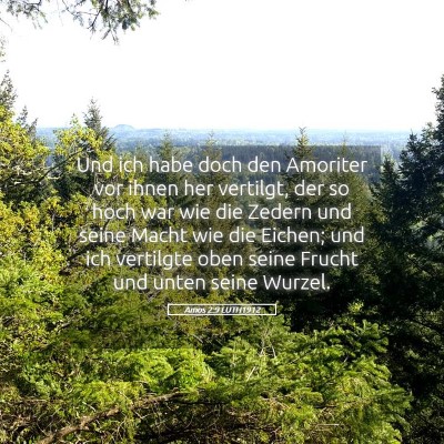 Picture 05 - Amos 2:9 LUTH1912 - Und ich habe doch den Amoriter vor ihnen her - Bible Verse Picture