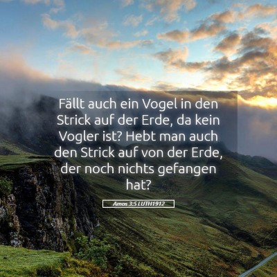 Picture 05 - Amos 3:5 LUTH1912 - Fällt auch ein Vogel in den Strick auf der Erde, - Bible Verse Picture