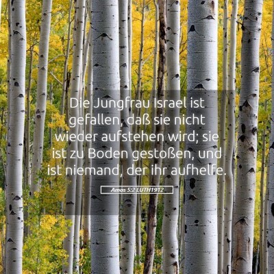 Picture 05 - Amos 5:2 LUTH1912 - Die Jungfrau Israel ist gefallen, daß sie nicht - Bible Verse Picture