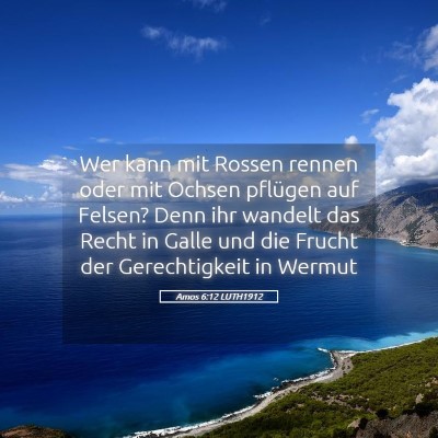 Picture 05 - Amos 6:12 LUTH1912 - Wer kann mit Rossen rennen oder mit Ochsen - Bible Verse Picture