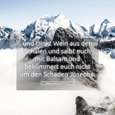 Picture 05 - Amos 6:6 LUTH1912 - und trinkt Wein aus den Schalen und salbt euch - Bible Verse Picture