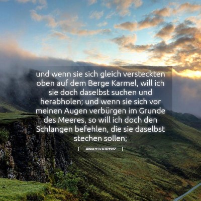 Picture 05 - Amos 9:3 LUTH1912 - und wenn sie sich gleich versteckten oben auf dem - Bible Verse Picture