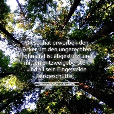 Picture 05 - Apostelgeschichte 1:18 LUTH1912 - Dieser hat erworben den Acker um den ungerechten - Bible Verse Picture