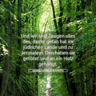 Picture 05 - Apostelgeschichte 10:39 LUTH1912 - Und wir sind Zeugen alles des, das er getan hat - Bible Verse Picture