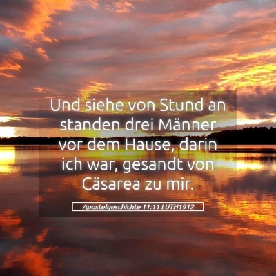 Picture 05 - Apostelgeschichte 11:11 LUTH1912 - Und siehe von Stund an standen drei Männer vor - Bible Verse Picture