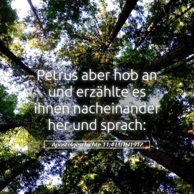 Picture 05 - Apostelgeschichte 11:4 LUTH1912 - Petrus aber hob an und erzählte es ihnen - Bible Verse Picture