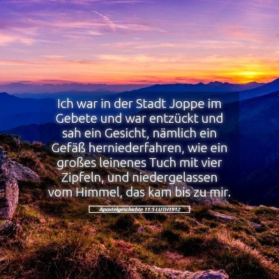 Picture 05 - Apostelgeschichte 11:5 LUTH1912 - Ich war in der Stadt Joppe im Gebete und war - Bible Verse Picture