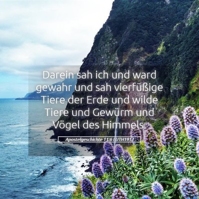 Picture 05 - Apostelgeschichte 11:6 LUTH1912 - Darein sah ich und ward gewahr und sah - Bible Verse Picture