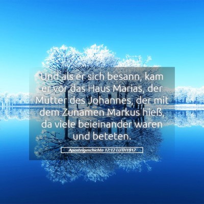 Picture 05 - Apostelgeschichte 12:12 LUTH1912 - Und als er sich besann, kam er vor das Haus - Bible Verse Picture