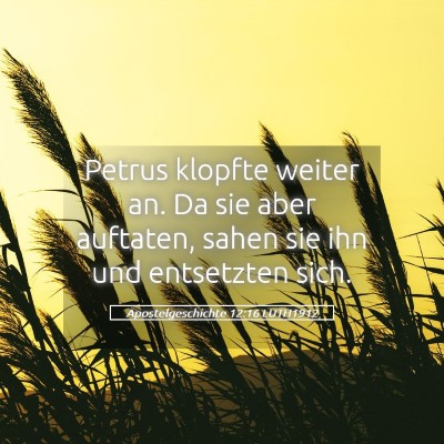 Picture 05 - Apostelgeschichte 12:16 LUTH1912 - Petrus klopfte weiter an. Da sie aber auftaten, - Bible Verse Picture