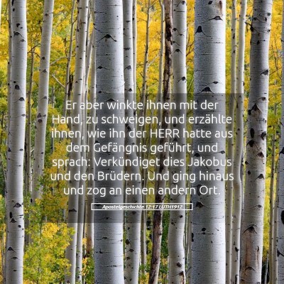 Picture 05 - Apostelgeschichte 12:17 LUTH1912 - Er aber winkte ihnen mit der Hand, zu schweigen, - Bible Verse Picture