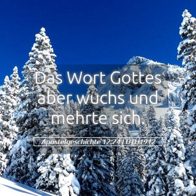 Picture 05 - Apostelgeschichte 12:24 LUTH1912 - Das Wort Gottes aber wuchs und mehrte - Bible Verse Picture