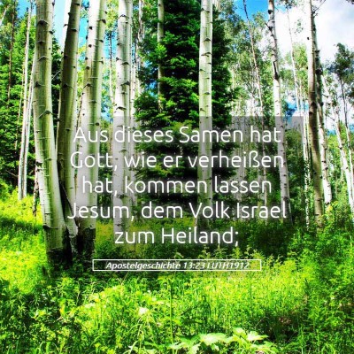 Picture 05 - Apostelgeschichte 13:23 LUTH1912 - Aus dieses Samen hat Gott, wie er verheißen hat, - Bible Verse Picture