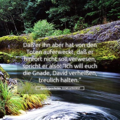 Picture 05 - Apostelgeschichte 13:34 LUTH1912 - Daß er ihn aber hat von den Toten auferweckt, - Bible Verse Picture