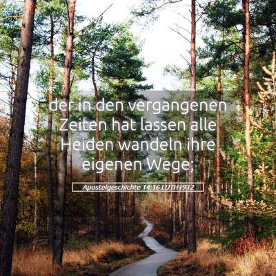 Picture 05 - Apostelgeschichte 14:16 LUTH1912 - der in den vergangenen Zeiten hat lassen alle - Bible Verse Picture