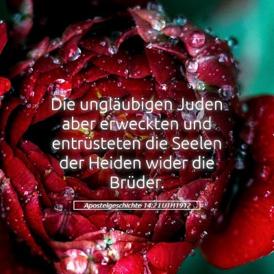 Picture 05 - Apostelgeschichte 14:2 LUTH1912 - Die ungläubigen Juden aber erweckten und - Bible Verse Picture