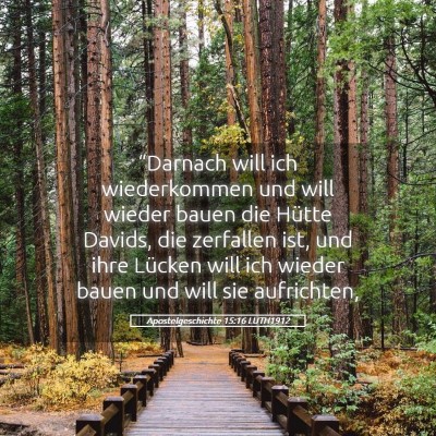 Picture 05 - Apostelgeschichte 15:16 LUTH1912 - “Darnach will ich wiederkommen und will wieder - Bible Verse Picture