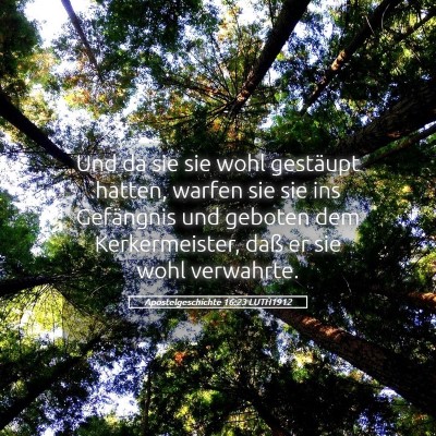 Picture 05 - Apostelgeschichte 16:23 LUTH1912 - Und da sie sie wohl gestäupt hatten, warfen sie - Bible Verse Picture